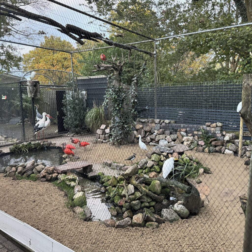 Vogels samen in een volière